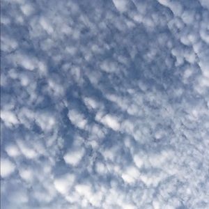 Meet your Posher, Yoseline